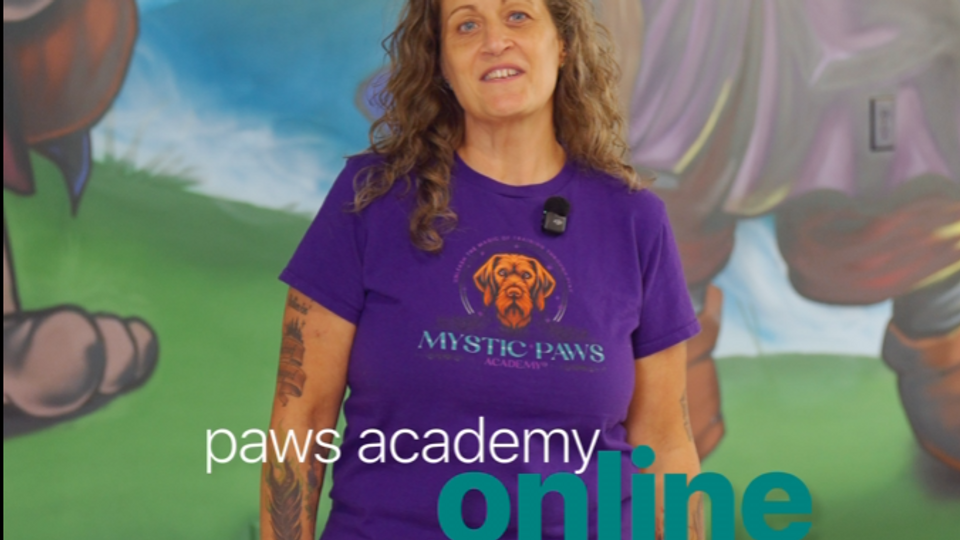MYSTIC PAWS